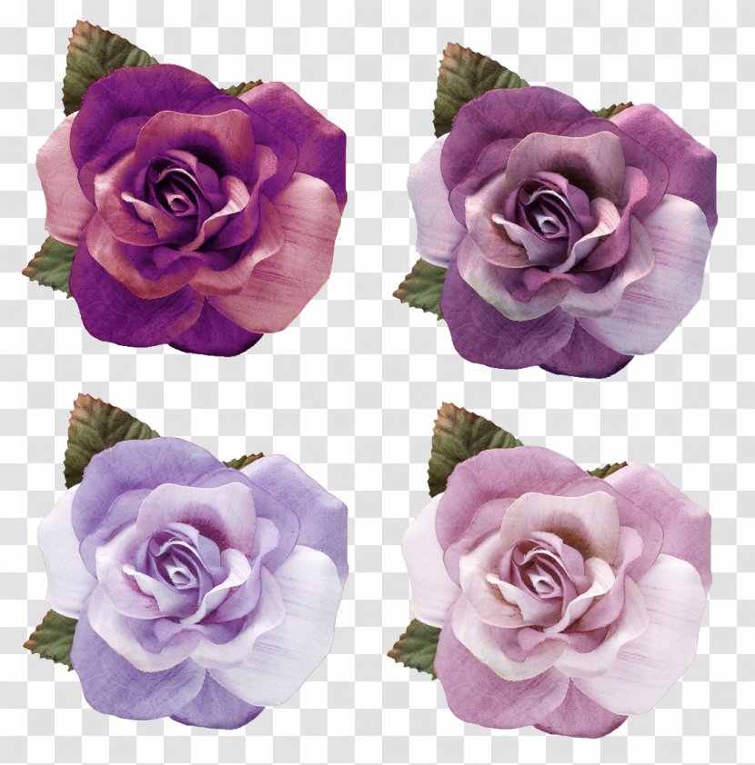 Garden Roses Centifolia Floribunda Blue Rose Flower - Artificial Transparent PNG