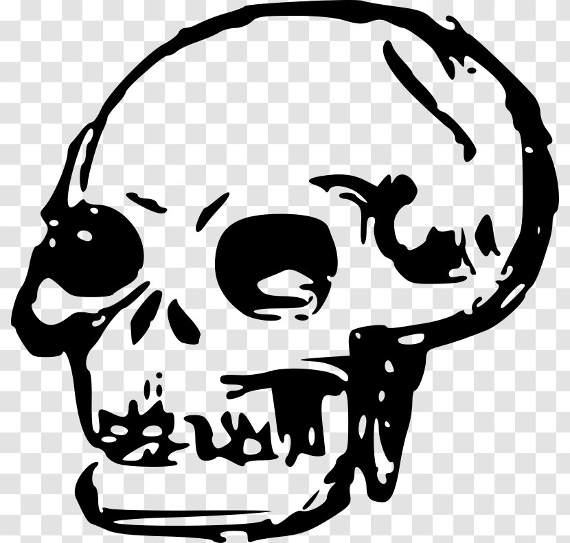 Human Skull Symbolism Skeleton Clip Art - Artwork Transparent PNG