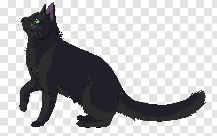 Black Cat Kitten Bombay Domestic Short-haired Whiskers Transparent PNG