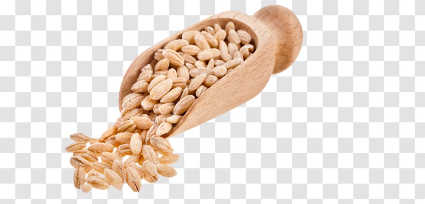 Food Cereal Whole Grain Ancient Grains - Commodity - Barley Transparent PNG