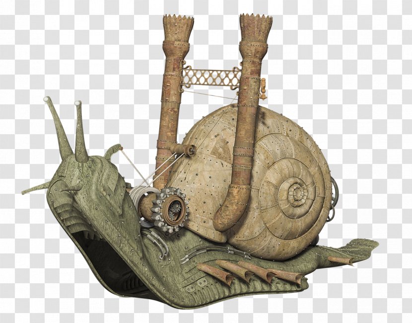 Snail DeviantArt Gastropods Download Slug - Stock Transparent PNG