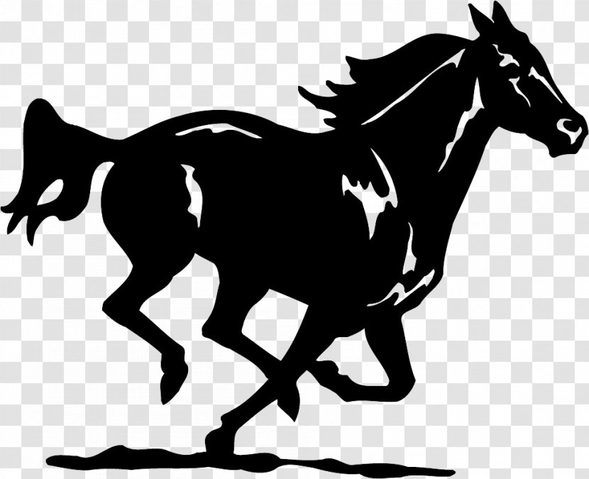 Horse Silhouette Clip Art - Vertebrate Transparent PNG