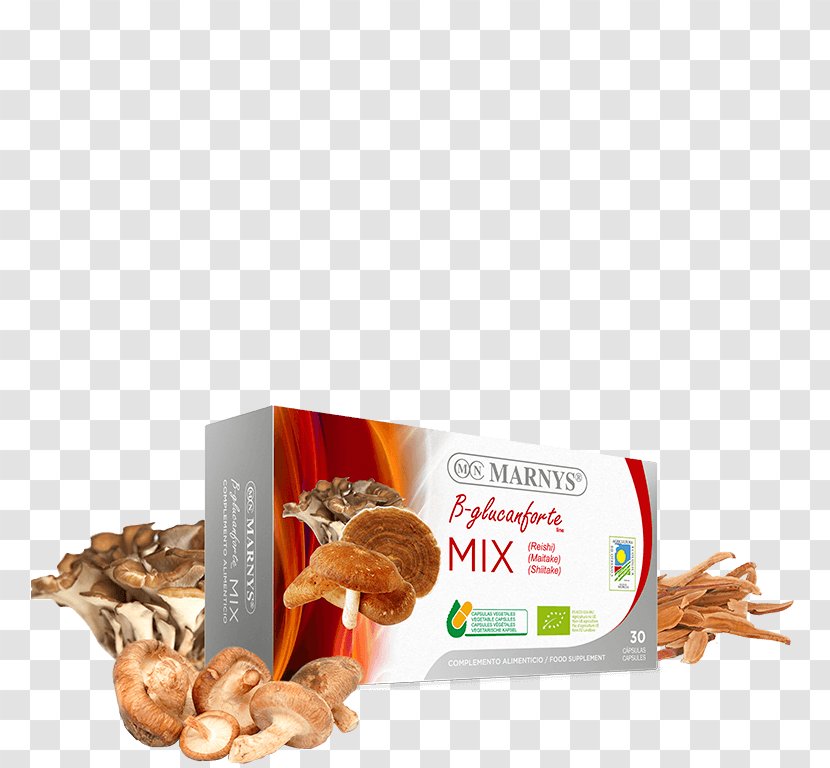 Hen-of-the-wood Lingzhi Mushroom Marny's B-Glucanforte Mix Mushrooms Bio 30 Capsules Shiitake - Grifola - Reishi Farming Transparent PNG
