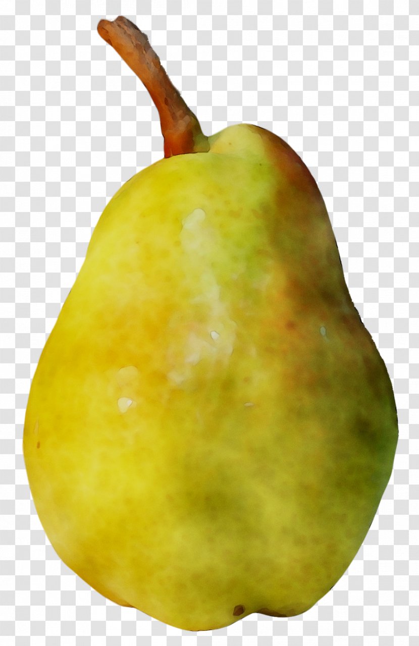 Pear Fahrenheit - Fruit - Woody Plant Transparent PNG