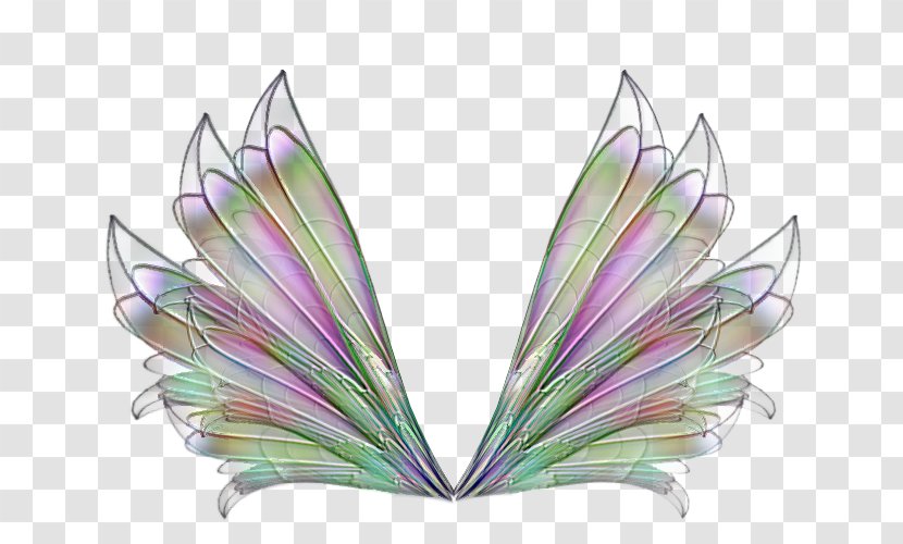 Blog .de .net - Butterfly - Diary Transparent PNG