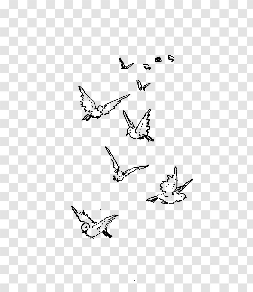 Bird Flight Sparrow Drawing Flock - Wing - Of Birds Transparent PNG