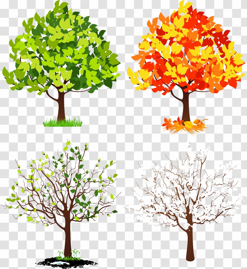 Four Seasons Hotels And Resorts Tree Clip Art - Twig Transparent PNG