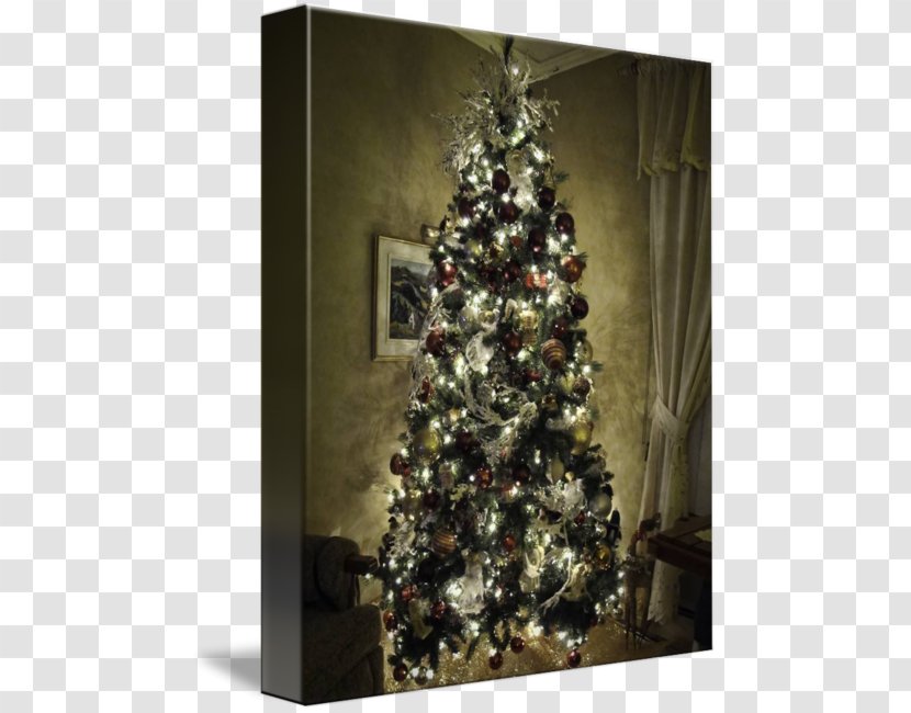 Christmas Tree Spruce Ornament Fir Day - Pine Family Transparent PNG