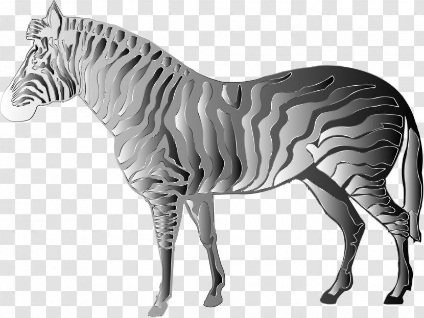 Mustang Stallion Quagga Zebra Transparent PNG