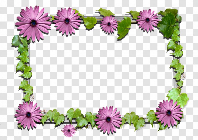 Picture Frames Flower Clip Art - Petal - FLOWER FRAME Transparent PNG