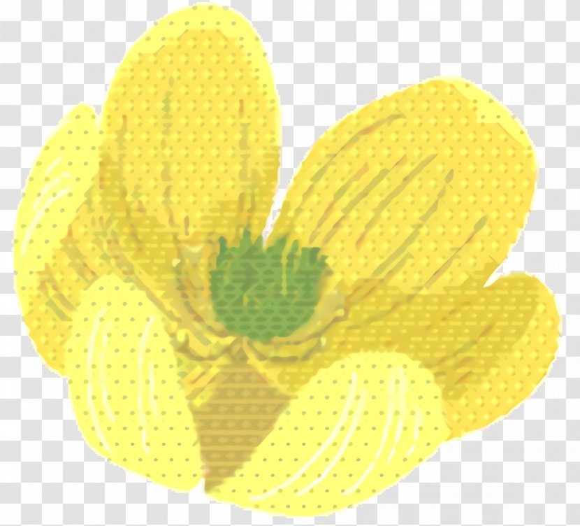 Yellow Background - Petal - Wildflower Pollen Transparent PNG