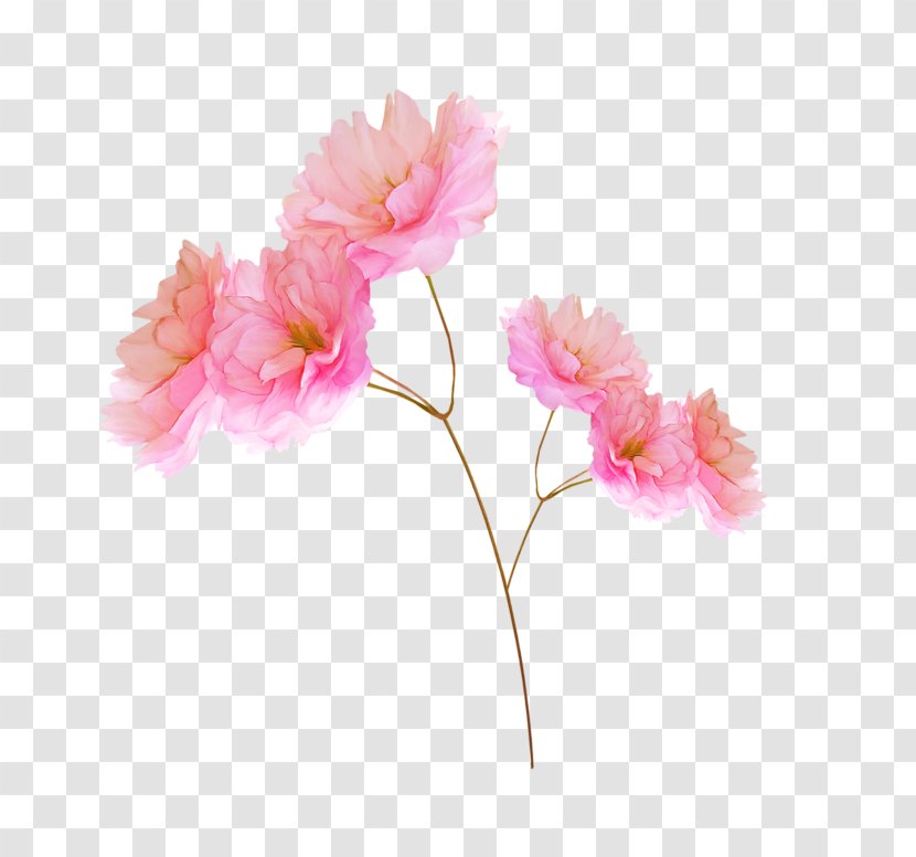 Flower Raster Graphics Clip Art - Spring Transparent PNG