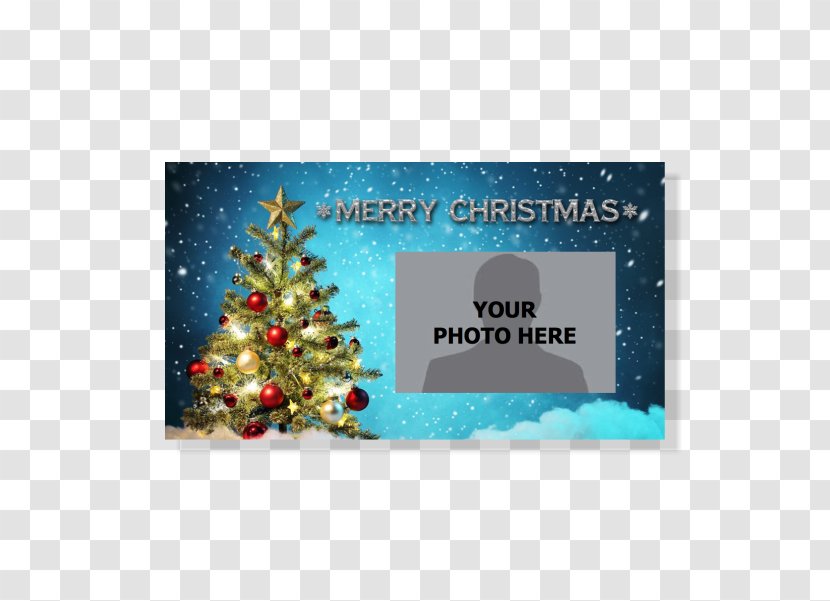Christmas Day Greeting & Note Cards Tree Wish Gift - Conifer Transparent PNG