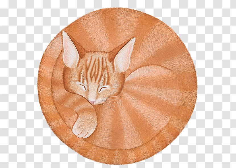 Whiskers Tabby Cat Tail Transparent PNG