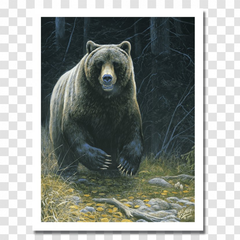 Grizzly Bear American Black Giant Panda Portraits - New Product Poster Transparent PNG