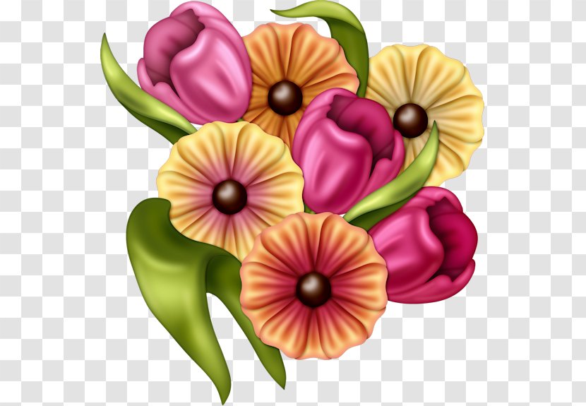 Flower Petal Floral Design Clip Art - Flowering Plant Transparent PNG