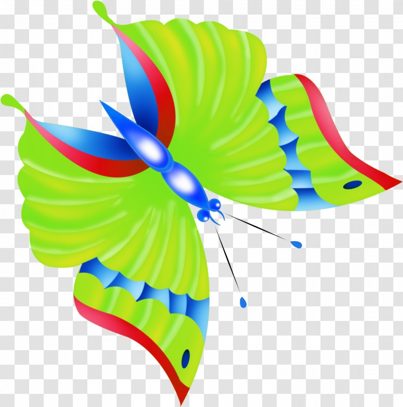 Butterfly Drawing Paper Clip Art - Organism - Hawkman Transparent PNG