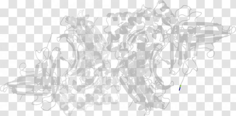 White Line Art Sketch - Monochrome - Angle Transparent PNG