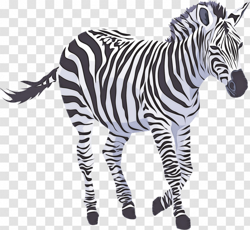 Zebra Animal Figure Wildlife Snout Black-and-white Transparent PNG