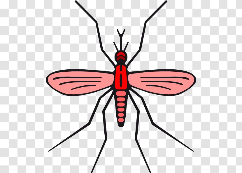 Mosquito Clip Art - Geevv - Version Transparent PNG