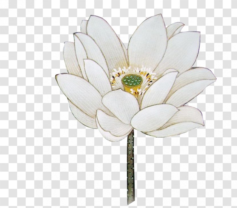 Chinese Painting - Gratis - Lotus Transparent PNG
