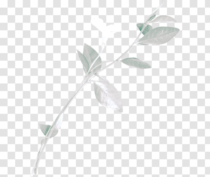 Leaf - Twig Transparent PNG