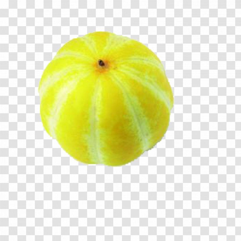 Citron Lemon Cucurbita Melon - Yuzu - Muskmelon Transparent PNG