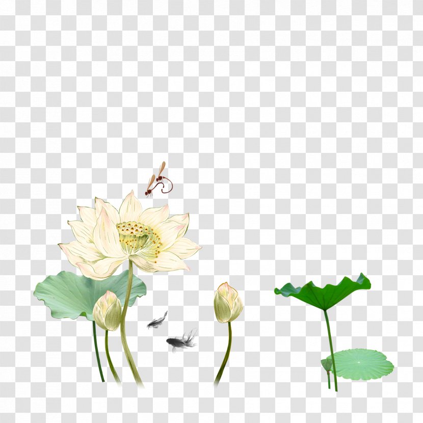 U611bu84eeu8aaa Nelumbo Nucifera Ink Wash Painting Wallpaper - Flower - Lotus Transparent PNG