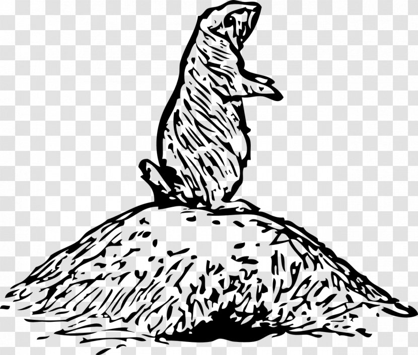 Black-tailed Prairie Dog Squirrel Clip Art - Small To Medium Sized Cats Transparent PNG