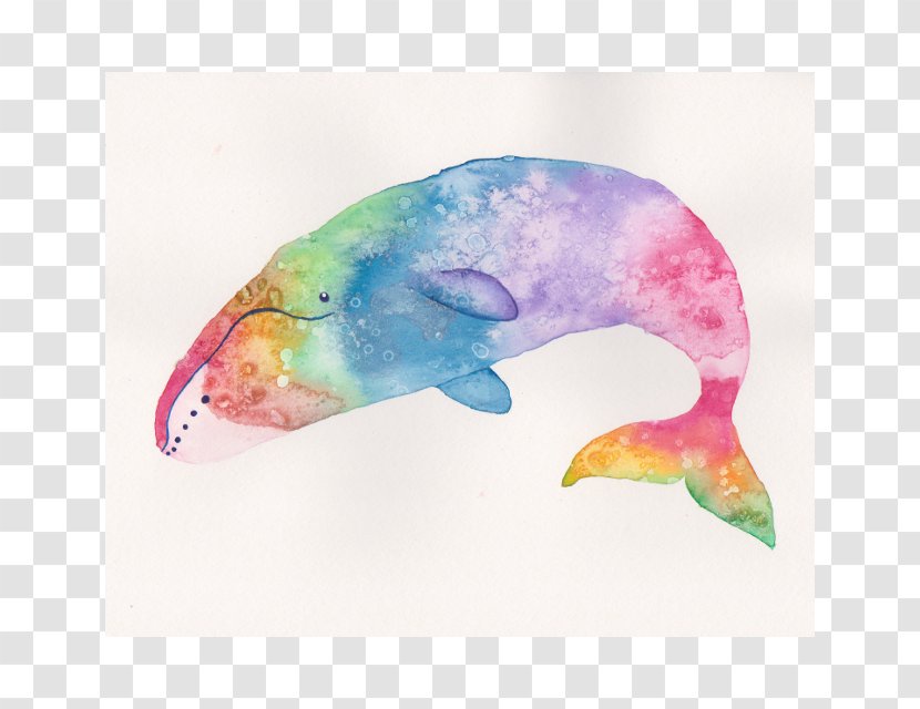 Marine Mammal Watercolor Painting Printmaking Giclée - Whale Transparent PNG