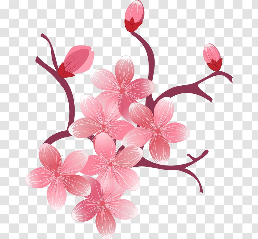 Desktop Wallpaper Cherry Blossom IPhone 7 Clip Art - Pink - Spring Flowers Transparent PNG