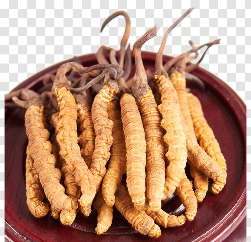 Nagqu Yushu Tibetan Autonomous Prefecture Plateau Caterpillar Fungus Goods - Packaging And Labeling - New Grass Cordyceps Chinese Medicine Transparent PNG