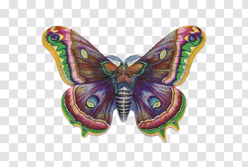 Butterfly Victorian Era Clip Art - Symmetry Transparent PNG