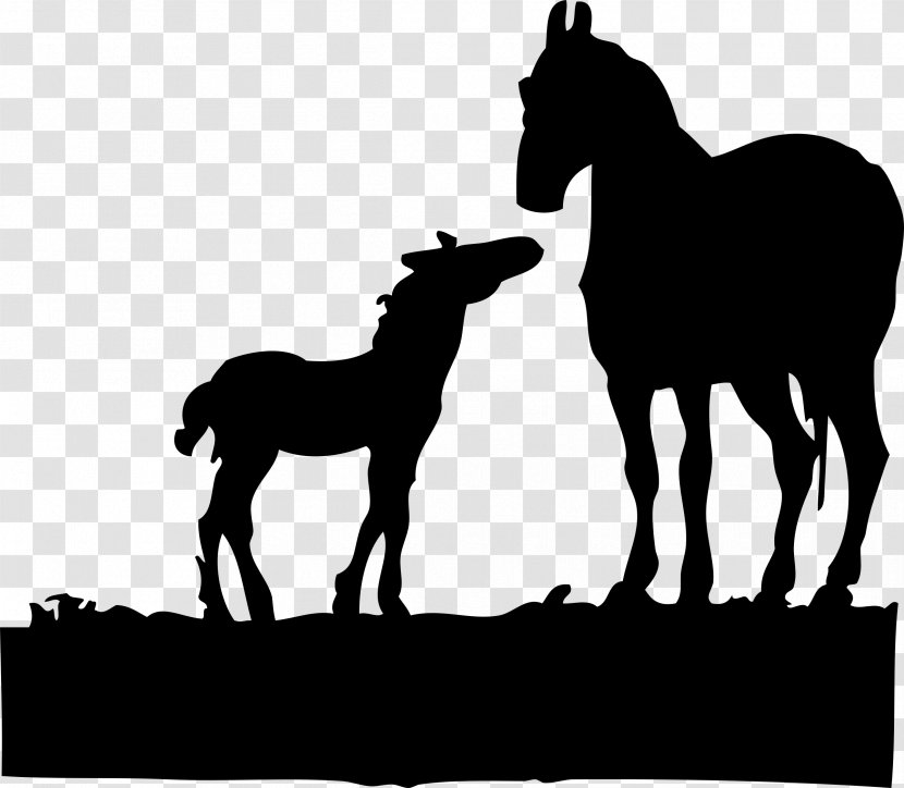 Foal Mare American Quarter Horse Colt Paint - Monochrome - Taurus Clipart Transparent PNG