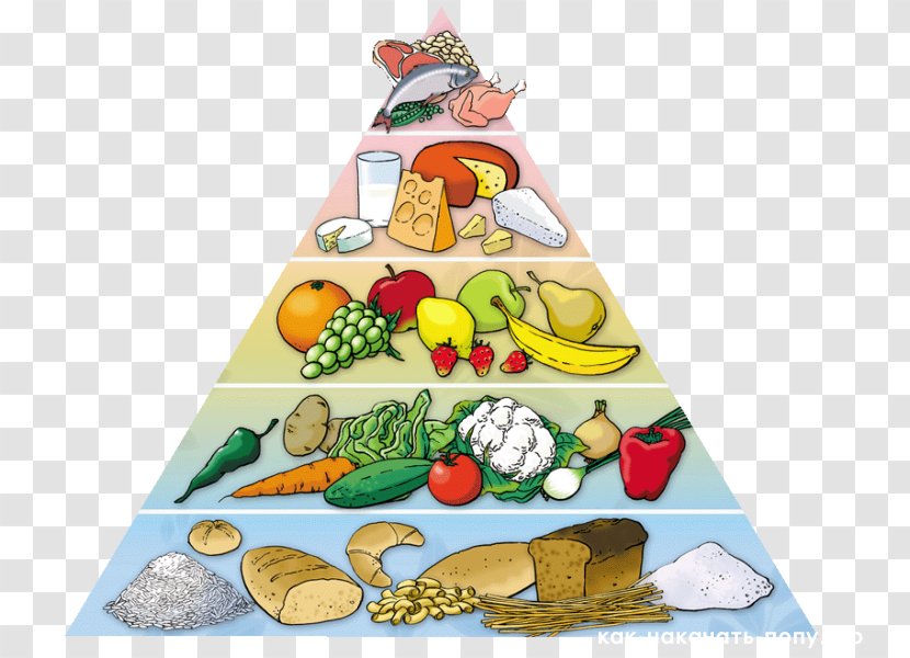 Food Pyramid Healthy Diet Eating Nutrition - Health Transparent PNG