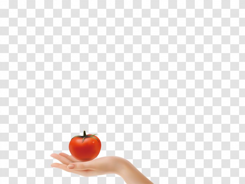 Flooring Computer Wallpaper - Hands Of Tomatoes Transparent PNG