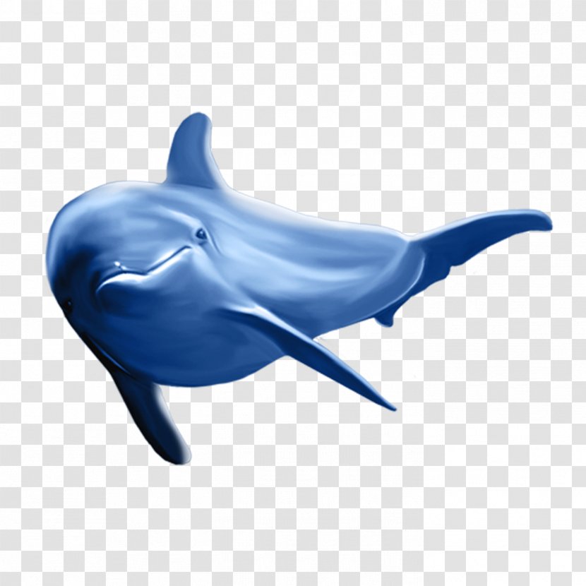 Common Bottlenose Dolphin Tucuxi Dolphin, River - Electric Blue - Whale Transparent PNG