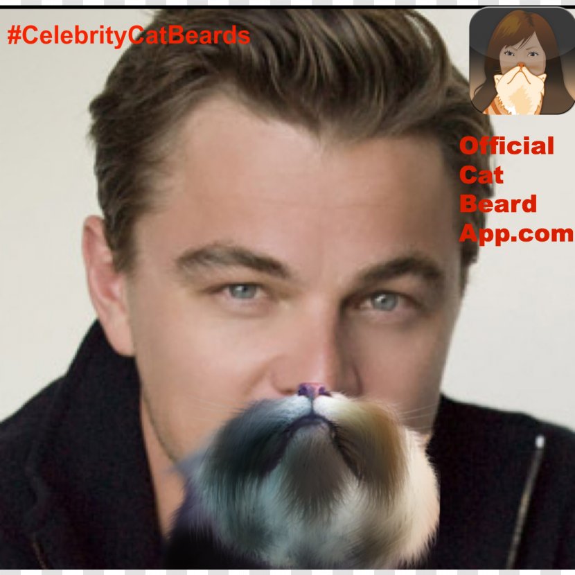 Leonardo DiCaprio Inception Jack Dawson Actor Celebrity - Facial Hair - Dicaprio Transparent PNG