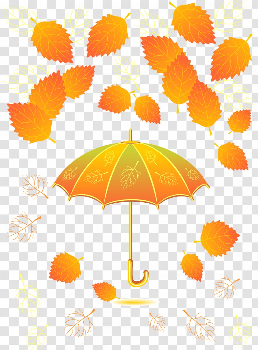 Autumn Umbrella Leaf Designer - Color Transparent PNG