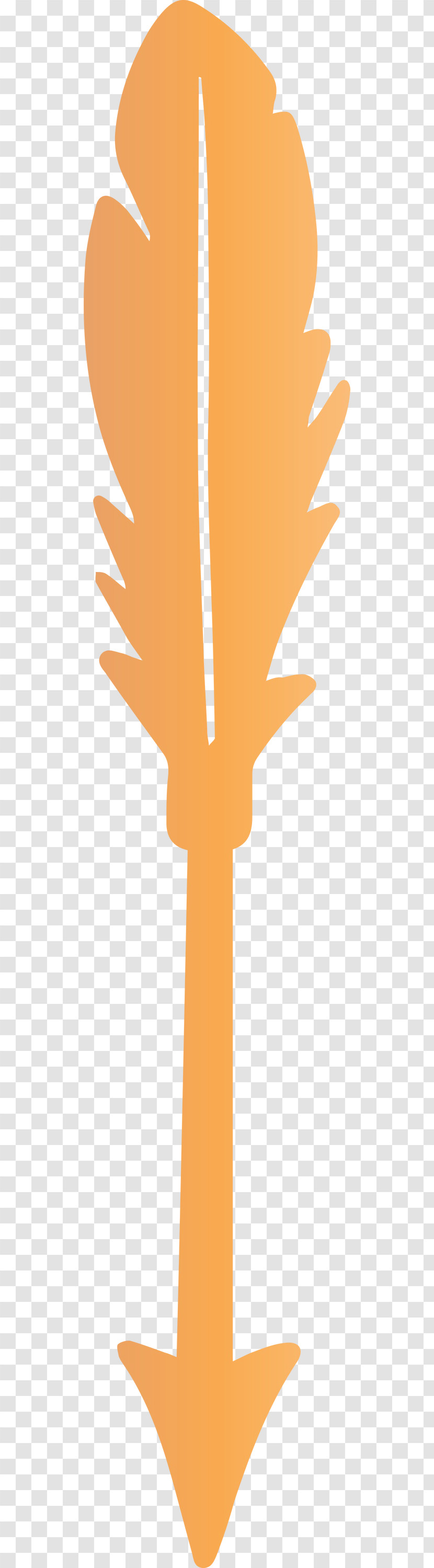 Orange Transparent PNG