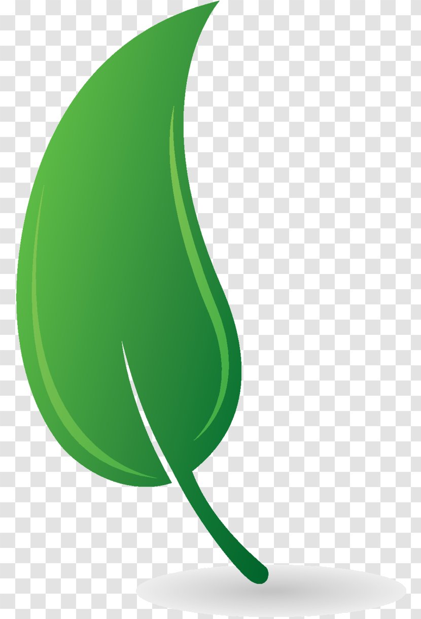 Clip Art Product Design Leaf - Logo - Plant Transparent PNG