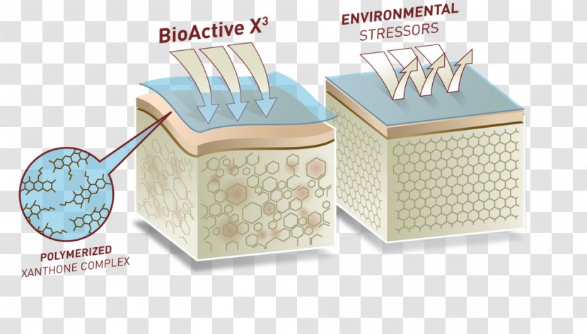 Carton Collagen - Box - Design Transparent PNG