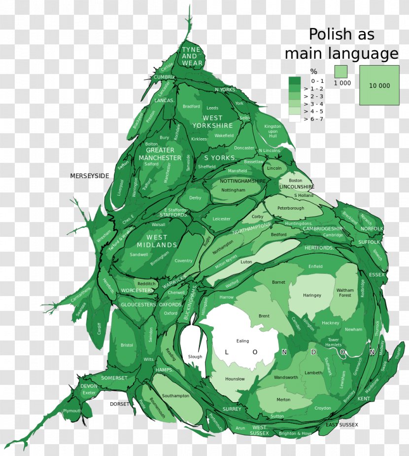 Migrations From Poland Since EU Accession Poles In The United Kingdom English Reformation - Grass - England Transparent PNG