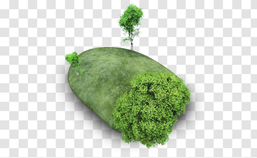 Plant Leaf Herb Tree - Icon Design - Island Stone Transparent PNG