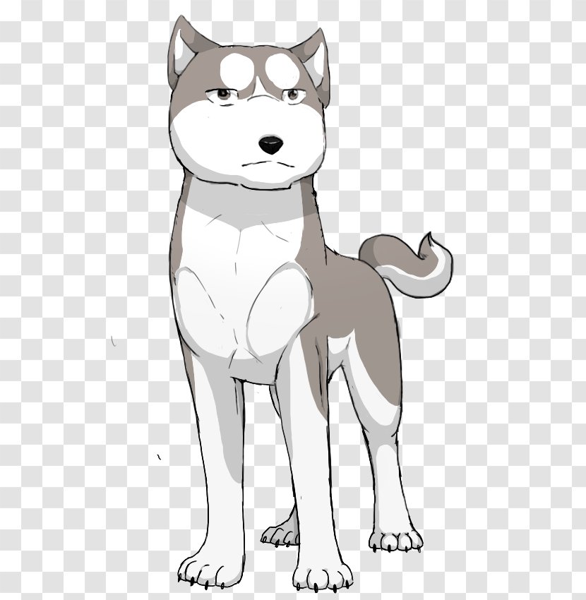 Siberian Husky Whiskers Dog Breed Cat Transparent PNG