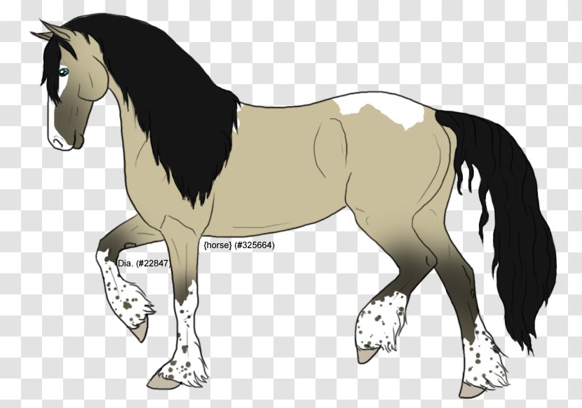 Mane Foal Stallion Mare Colt - Horse - Mustang Transparent PNG