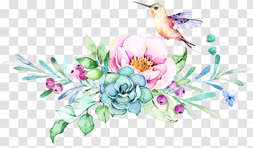 Hummingbird Transparent PNG