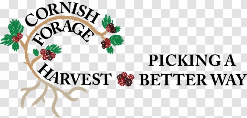 Christmas Tree Logo Day Brand Ornament - Harvest Rowan Berries Transparent PNG