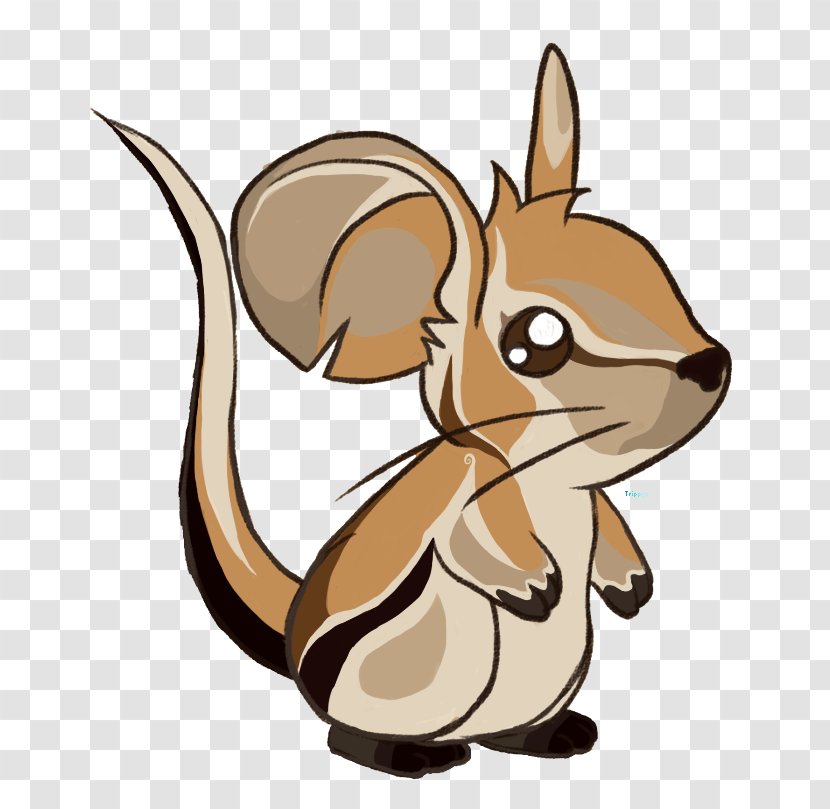 Whiskers Transformice Cat Mouse Rat - Like Mammal - Chipmunk Transparent PNG