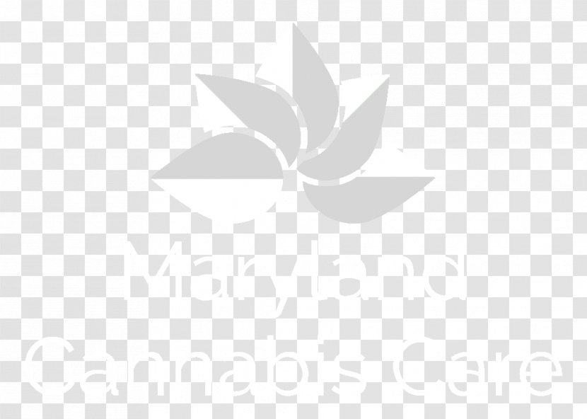 Leaf Logo Brand Desktop Wallpaper Transparent PNG